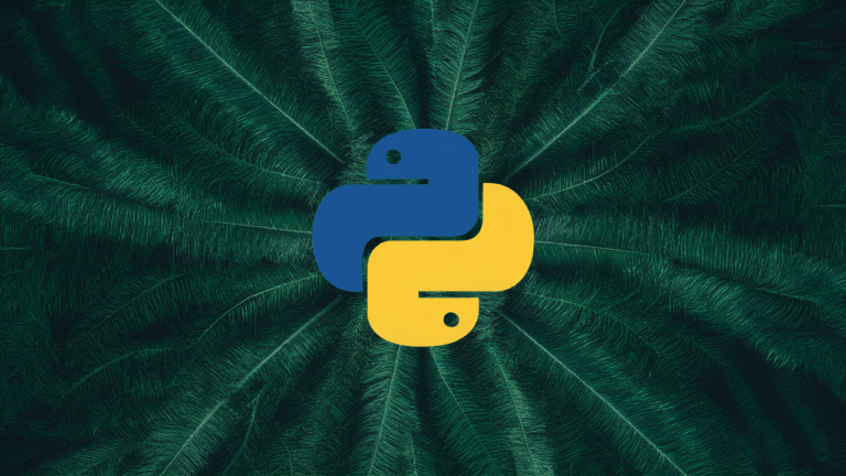 Beginner's Guide to Using Python for SEO Optimization